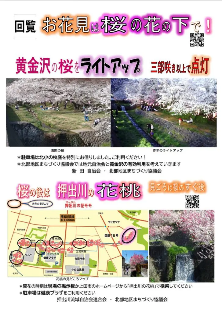 2025年も黄金沢川の桜ライトアップを実施します🌸押出川の花桃も見頃